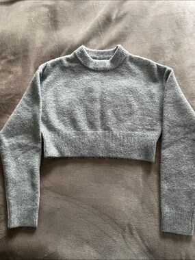 Zara cropped sweater